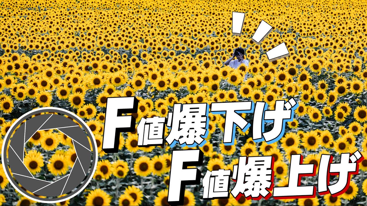 1741193864_maxresdefault-1976037-1038219-jpg