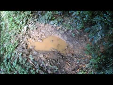 1745702202_hqdefault-7137840-3843408-jpg