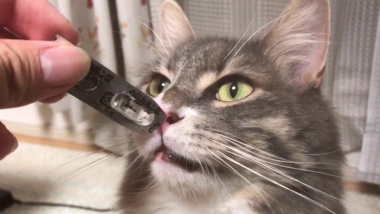 1746495564_maxresdefault-3408453-6042303-jpg