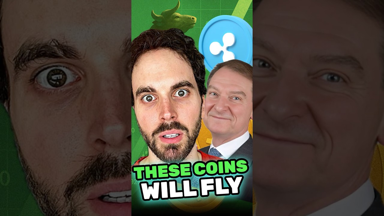 1754937029_maxresdefault-8777953-1674277-jpg