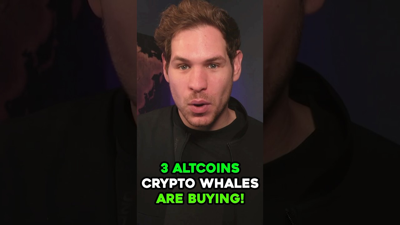 1755164369_maxresdefault-6345014-7722055-jpg