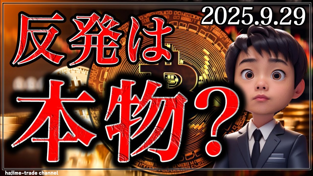 1762342282_maxresdefault-6281039-8571050-jpg