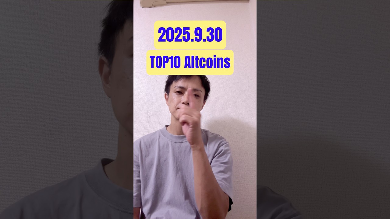 1765019905_maxresdefault-7632372-1088041-jpg