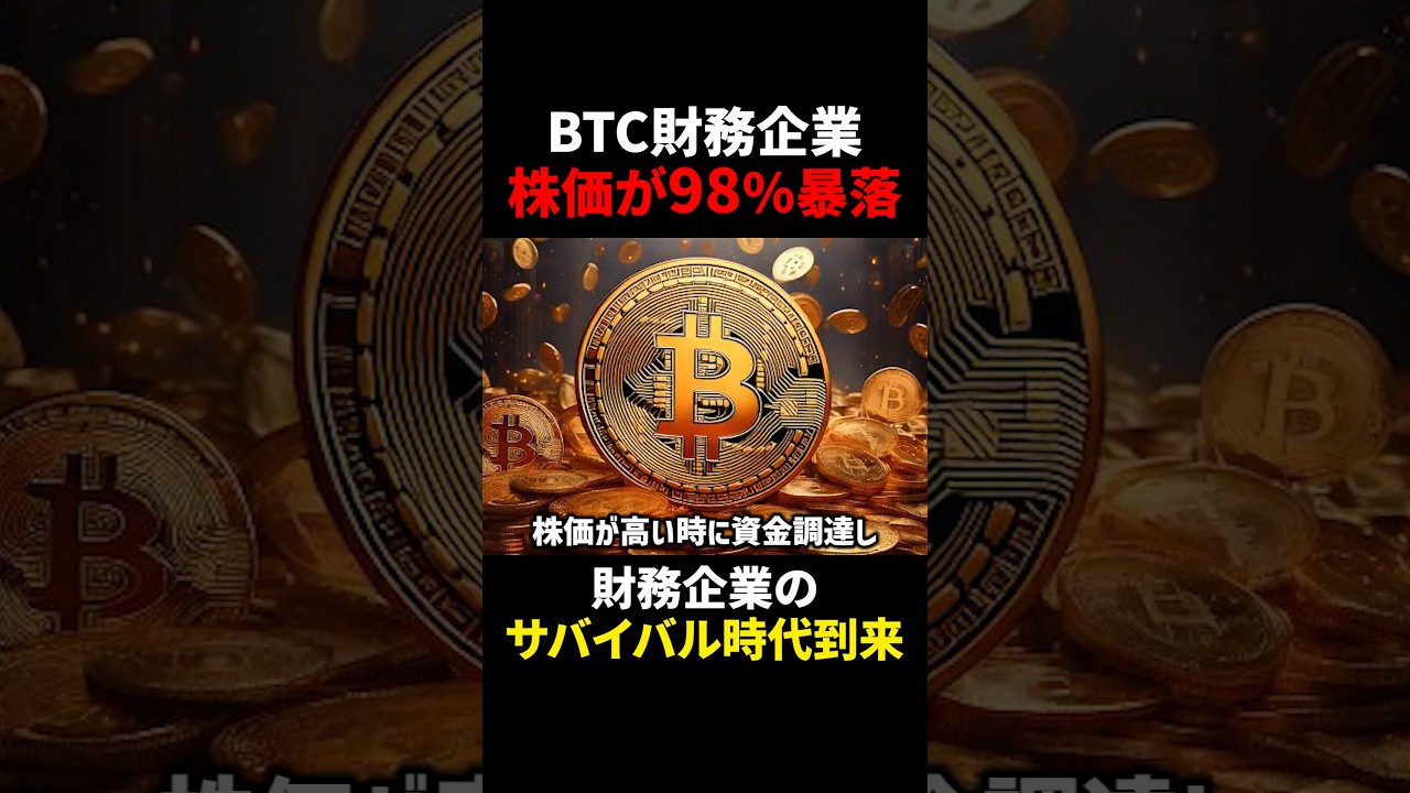 1766965070_maxresdefault-8115632-1304261-jpg