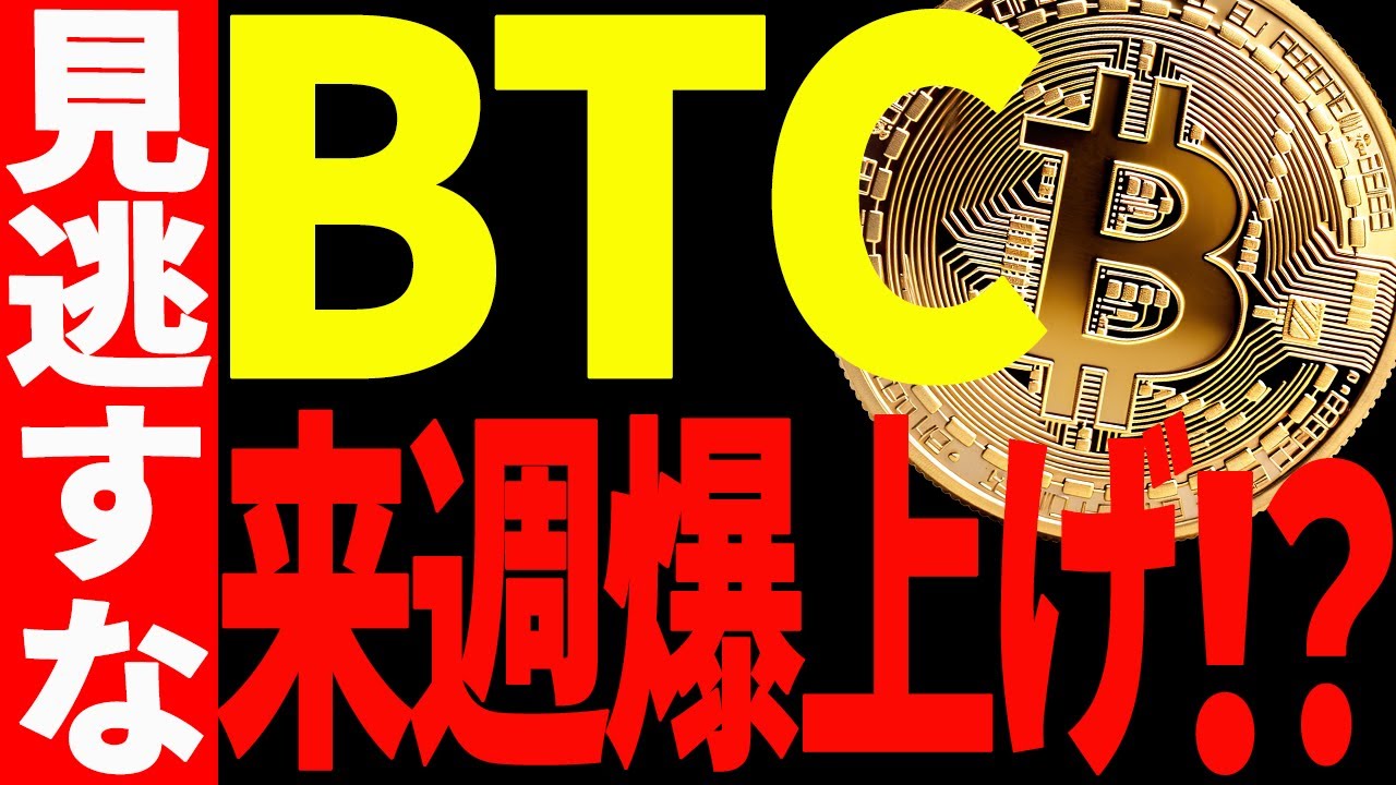 1769339665_maxresdefault-6526840-2258952-jpg